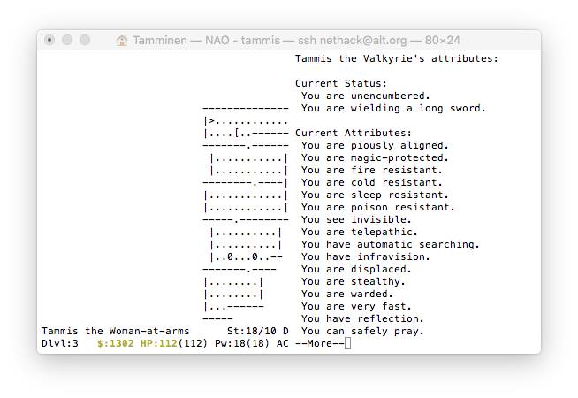 screenshot of NetHack